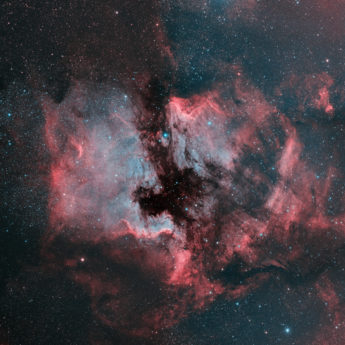 Pelican Nebula