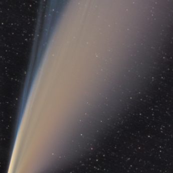 Comet Neowise