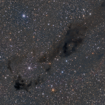 Barnard 8