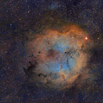 Elephant's Trunk Nebula IC1369