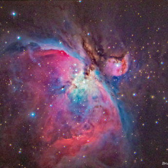 M42
