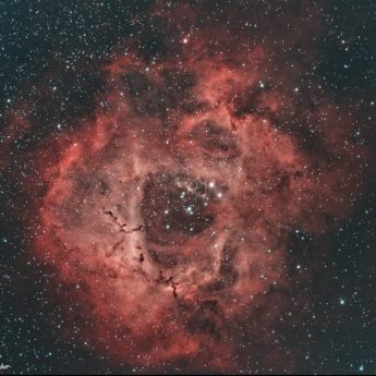 Nebulosa Rosetta