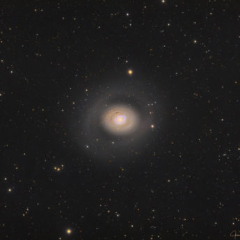 M94 Galaxy
