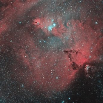 NGC2264