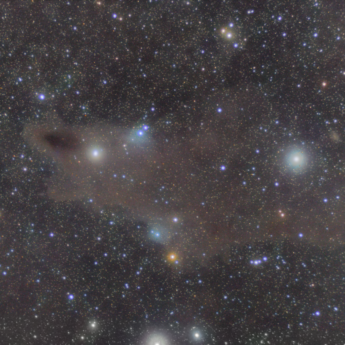The Dark Skark Nebula LDN1235
