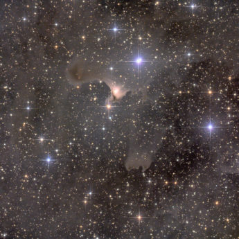 VDB141