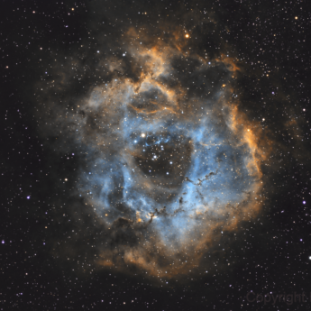 Rosette Nebula in narrow band