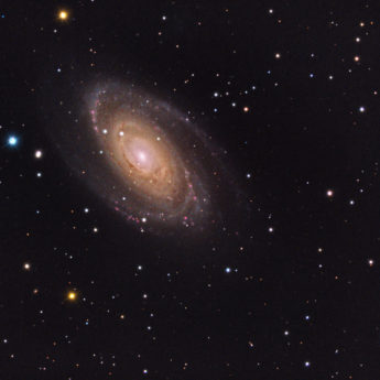 M 81 - Bode's Galaxy