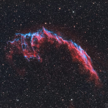 Bat Nebula