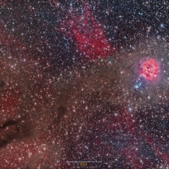 The Cocoon Nebula (IC 5146)