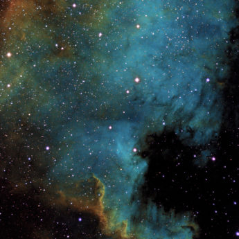 North American Nebula (NGC7000) in HST