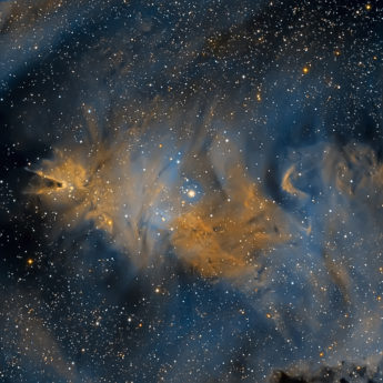 NGC 2264