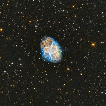 M1