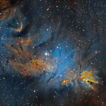 Christmas Tree Nebulas complex