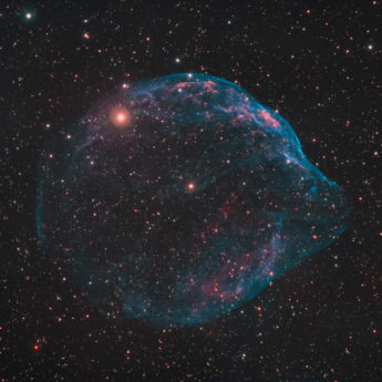 Dolphin Nebula