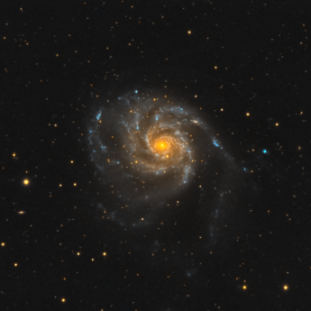 M101