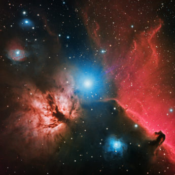 Horsehead & Flame nebulas in Alnitak vicinity