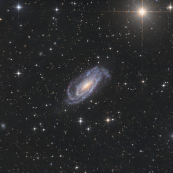 Ngc 5033