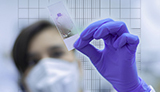Cell Counting