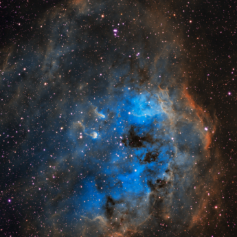 IC 410 The Tadpoles Nebula in SHO