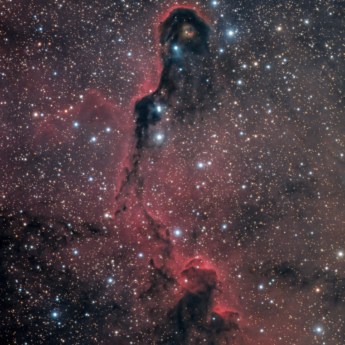 IC1396 Elephant  Trunk Nebula