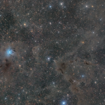 Iris Nebula NGC7023 and Gyulbudaghian's Nebula