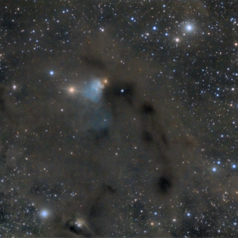 LBN782