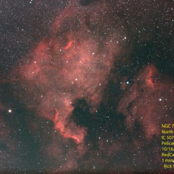 NGC 7000 & IC 5070
