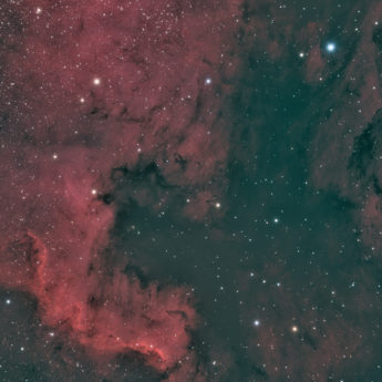 NGC 7000