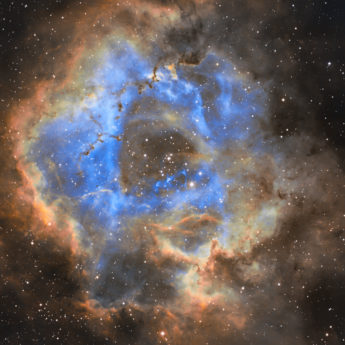Rosette Nebula Vertical (Deep Space)