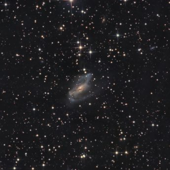 NGC 2146
