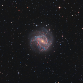 M83