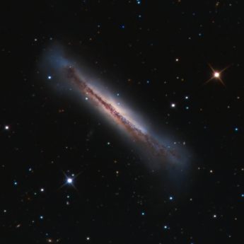 NGC3628