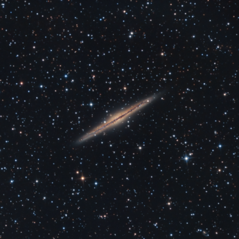 NGC891