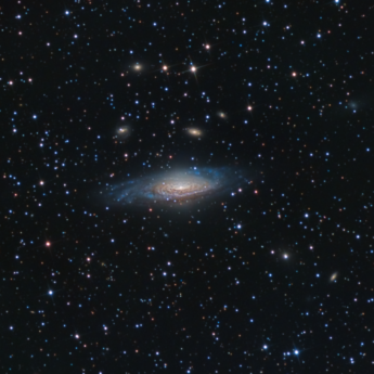 NGC7331
