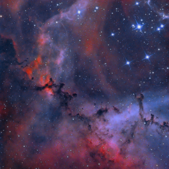 Rossette Nebula