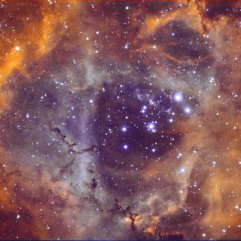 Rosette nebula