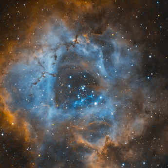 The Rosette nebula