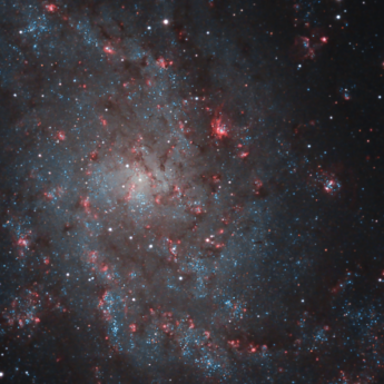 M33