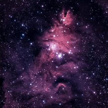 Nebulosa NGC 2264