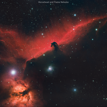 Horsehead and Flame Nebulae