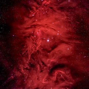 NGC 2264. 6 paneles con Nina