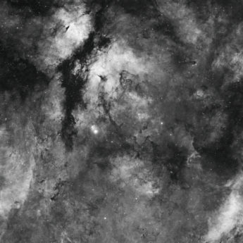 Gamma Cygni Widefield