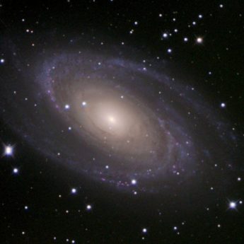 M81