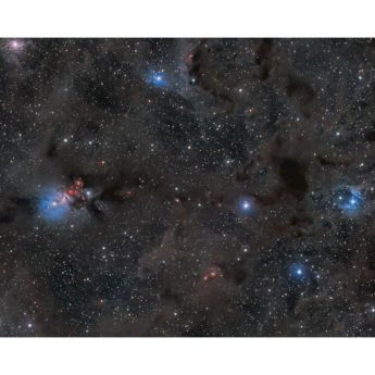 NGC1333