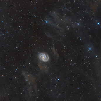 NGC 6951 IN DUST