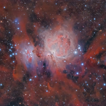 The Orion nebula