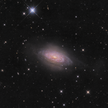 Bubble Galaxy