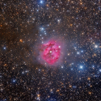 Cocoon Nebula