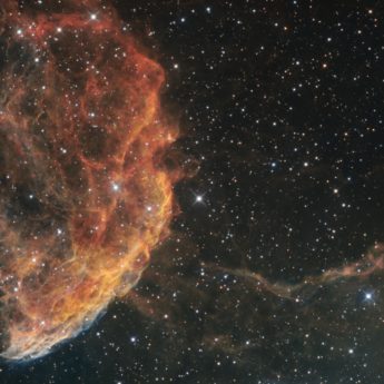 ic 443 sho